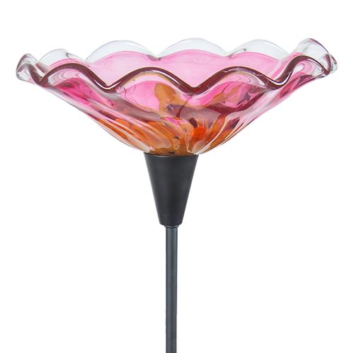 DG19-001_Pink.jpg Thumbnail Image