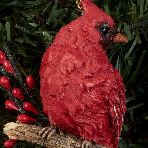 DH64-001_2.jpg Thumbnail Image