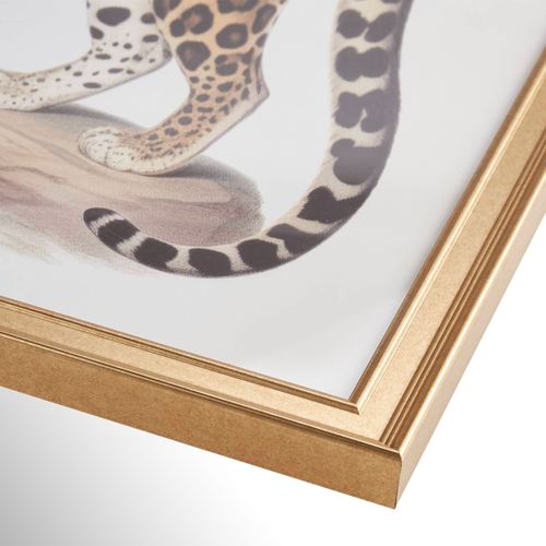 DM33-001_3.jpg Thumbnail Image