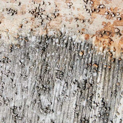 DM35-001_2.jpg Thumbnail Image