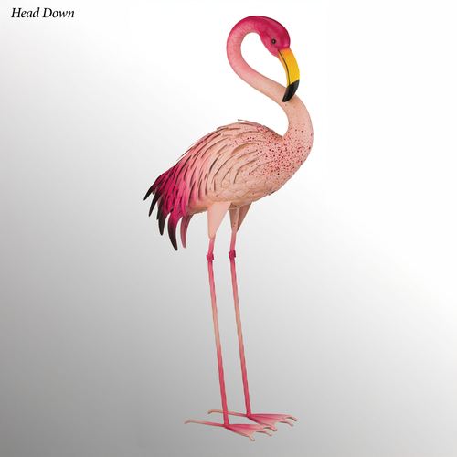 DR75-001_4.jpg Thumbnail Image