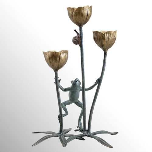 DS08-001_5.jpg Thumbnail Image