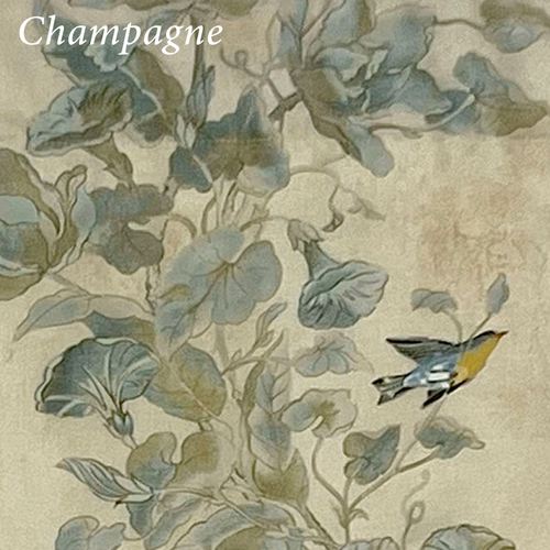 DS85-001_3.jpg Thumbnail Image