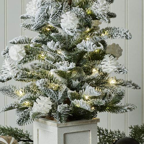 DZ25-001_2.jpg Thumbnail Image