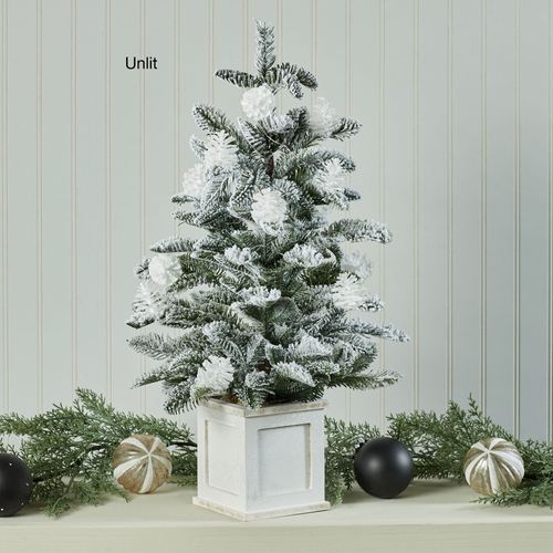 DZ25-001_3.jpg Thumbnail Image