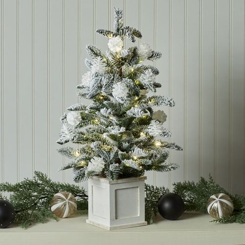 DZ25-001_NT.jpg Thumbnail Image