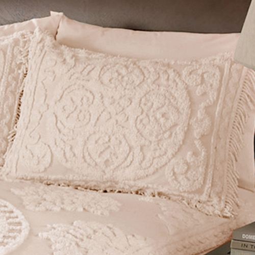 E015-002_Apricot.jpg Thumbnail Image