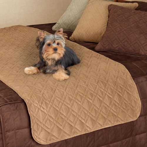 E500-001_Camel.jpg Thumbnail Image