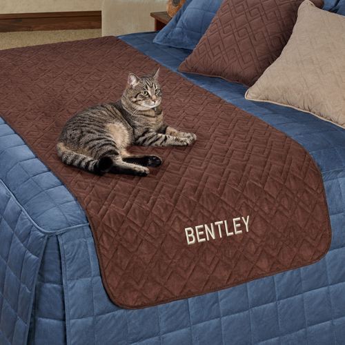 E500-001_Chocolate.jpg Thumbnail Image