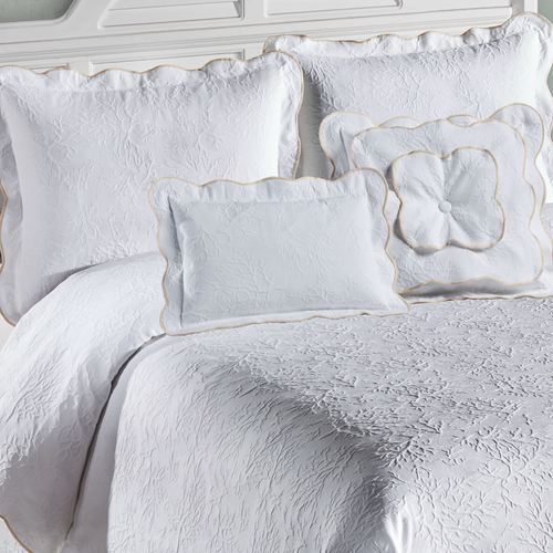 EB02-001_2.jpg Thumbnail Image