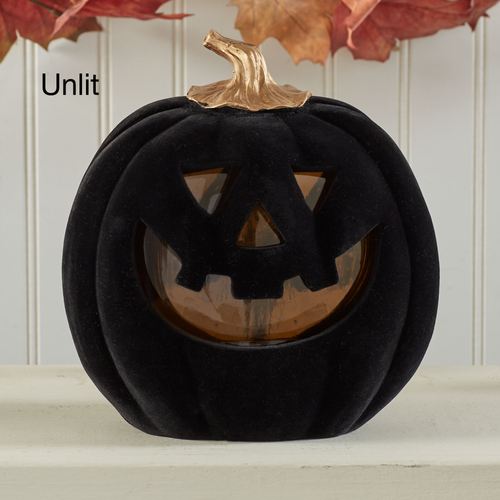 EB17-001_3.jpg Thumbnail Image