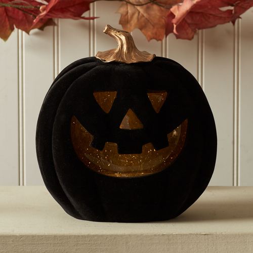 EB17-001_NT.jpg Thumbnail Image