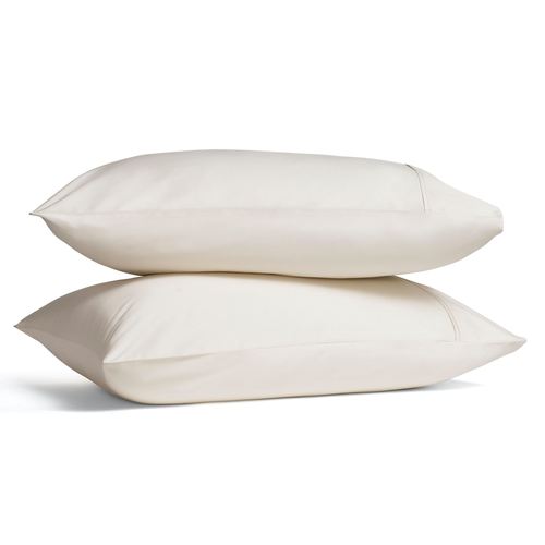 EC06-002_Parchment.jpg Thumbnail Image