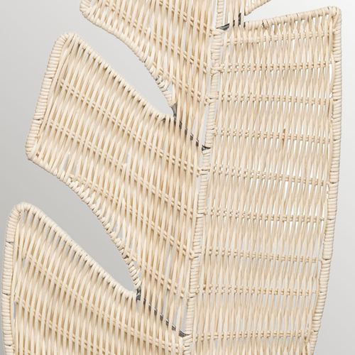 EC19-001_2.jpg Thumbnail Image