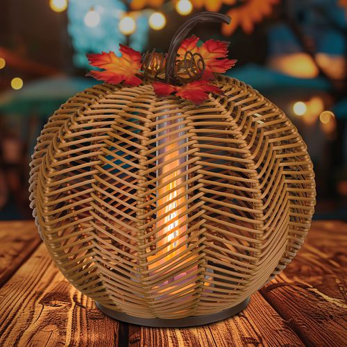 ED36-001_4.jpg Thumbnail Image