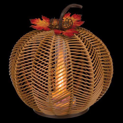 ED36-001_NT.jpg Thumbnail Image