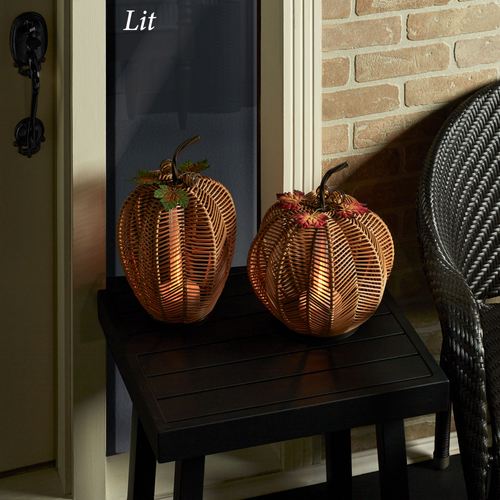 ED36-002_5.jpg Thumbnail Image