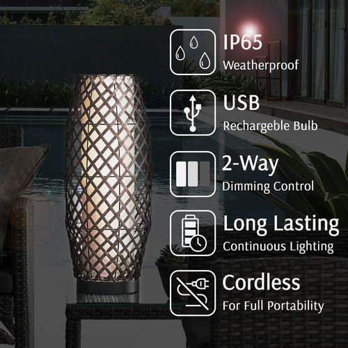 ED49-001_4.jpg Thumbnail Image