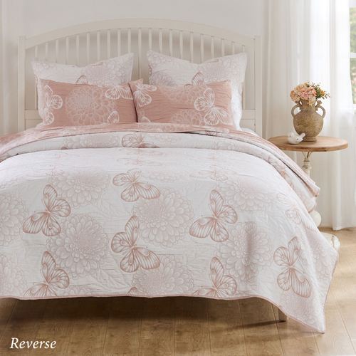 ED61-001_3.jpg Thumbnail Image