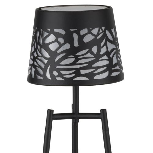 EG54-001_2.jpg Thumbnail Image