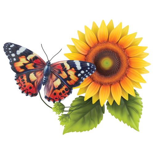 EJ45-001_3.jpg Thumbnail Image