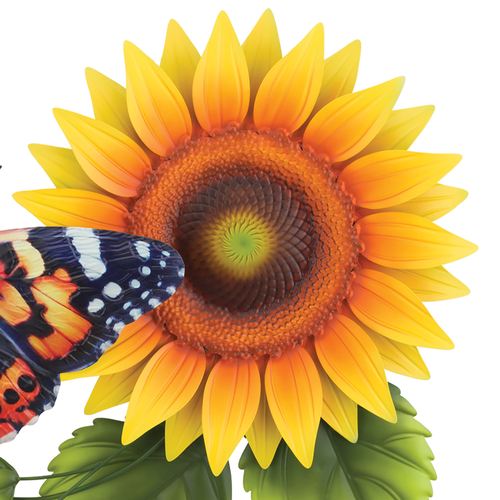 EJ45-001_4.jpg Thumbnail Image