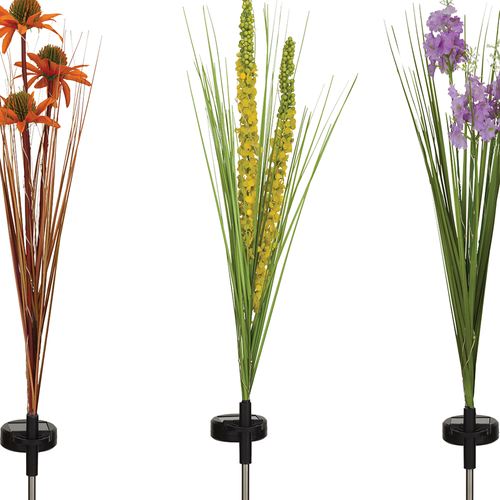 EJ53-001_2.jpg Thumbnail Image