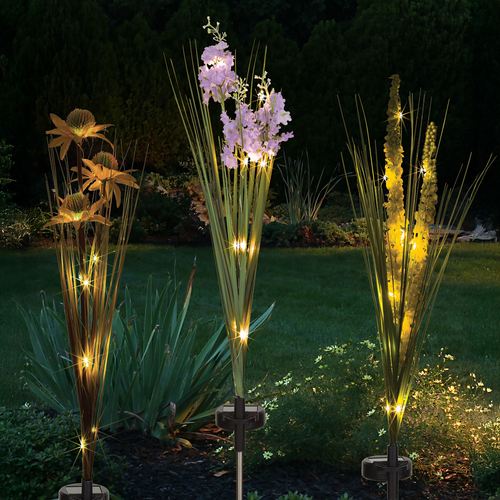 EJ53-001_NT.jpg Thumbnail Image