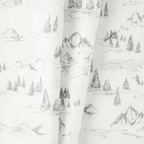 EM96-001_2.jpg Thumbnail Image