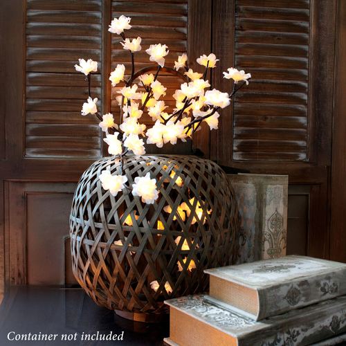 EN49-001_4.jpg Thumbnail Image