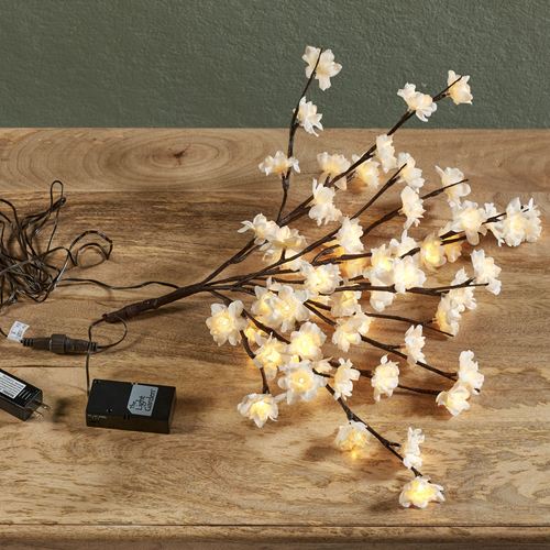 EN49-001_NT.jpg Thumbnail Image