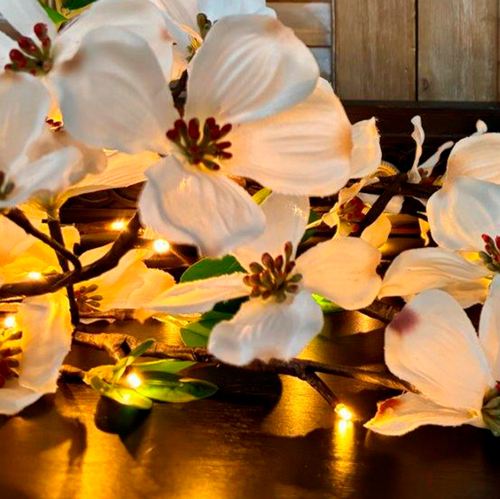 EN50-001_2.jpg Thumbnail Image