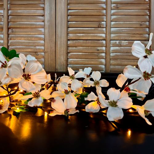 EN50-001_NT.jpg Thumbnail Image