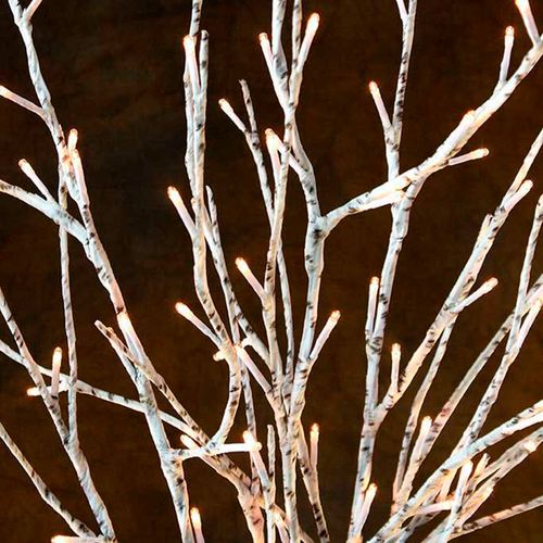 ES08-001_2.jpg Thumbnail Image