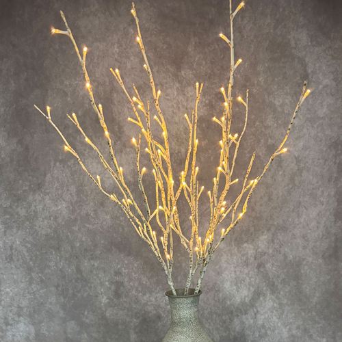 ES08-001_NT.jpg Thumbnail Image