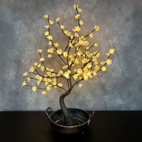 ES15-001_3.jpg Thumbnail Image