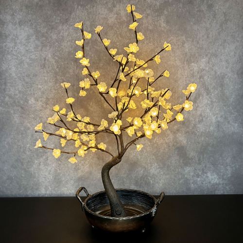 ES15-001_NT.jpg Thumbnail Image