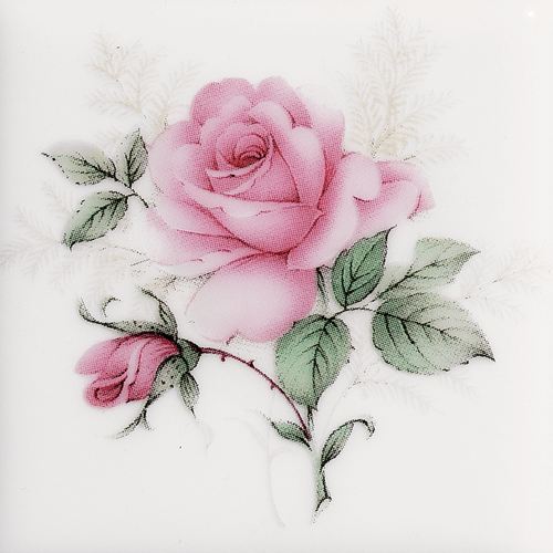 Rose Porcelain Single Switch White Thumbnail Image