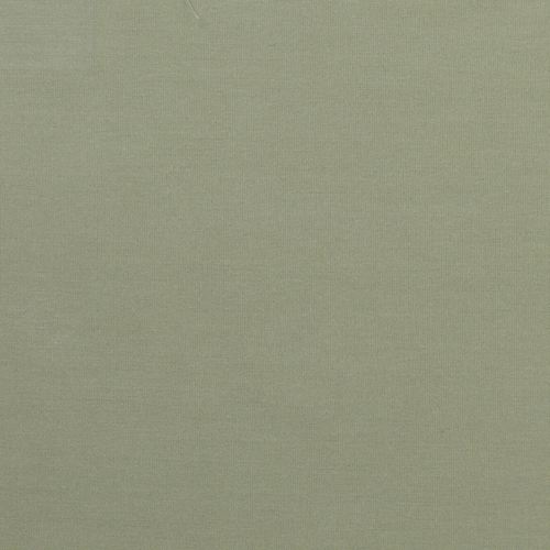 H985-001_Sage.jpg Thumbnail Image