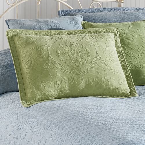 L069-004_Fern.jpg Thumbnail Image