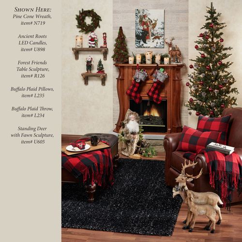 L235-003_4.jpg Thumbnail Image