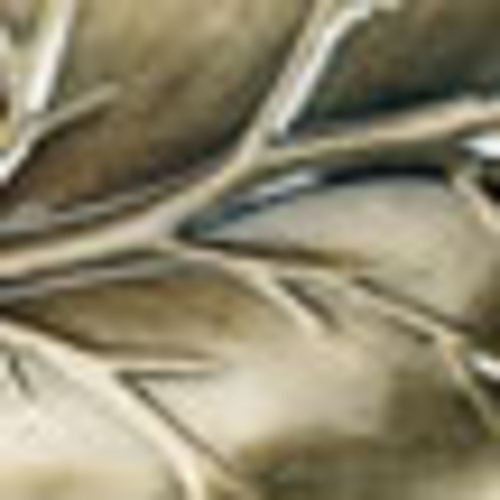 Leaf Decorative Holdback Pair Thumbnail Image