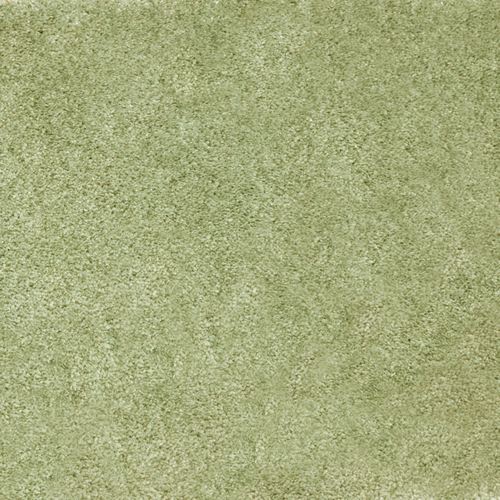 M692-002_Tarragon.jpg Thumbnail Image