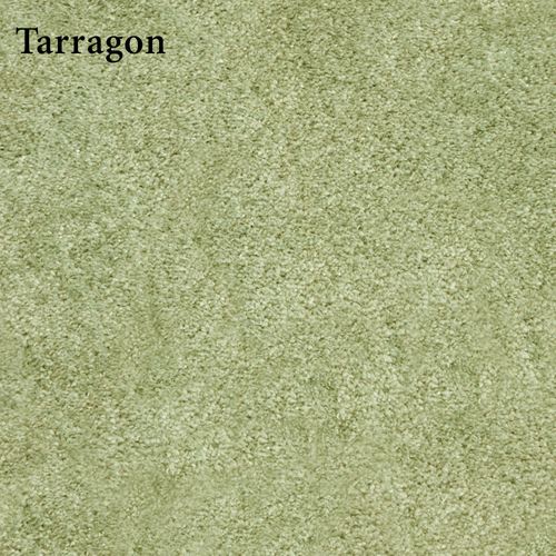M692-003_Tarragon.jpg Thumbnail Image