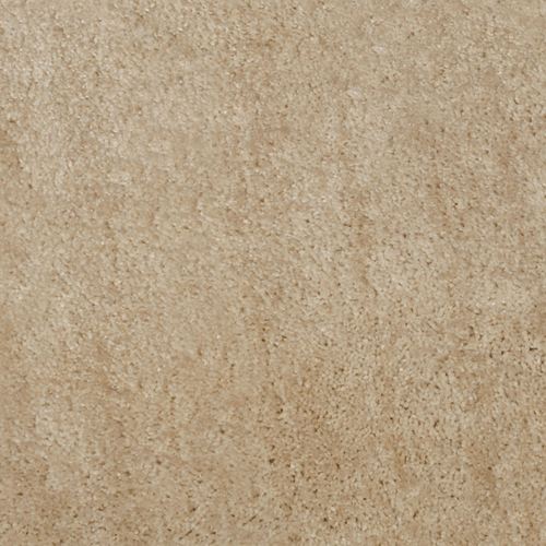 S493-004_Champagne.jpg Thumbnail Image