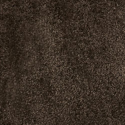 S493-004_Chestnut.jpg Thumbnail Image