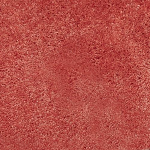 S493-004_Coral.jpg Thumbnail Image