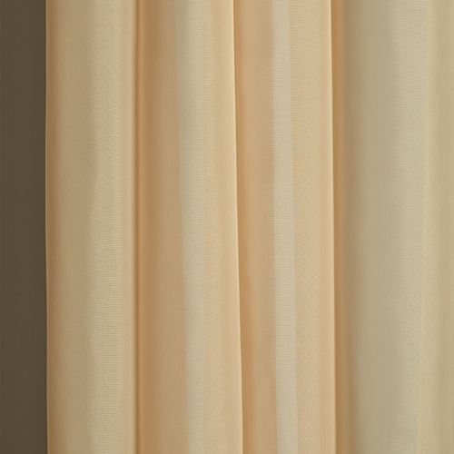 T038-001_Camel.jpg Thumbnail Image