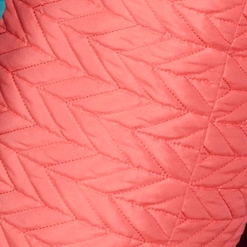 T055-004_Melon.jpg Thumbnail Image