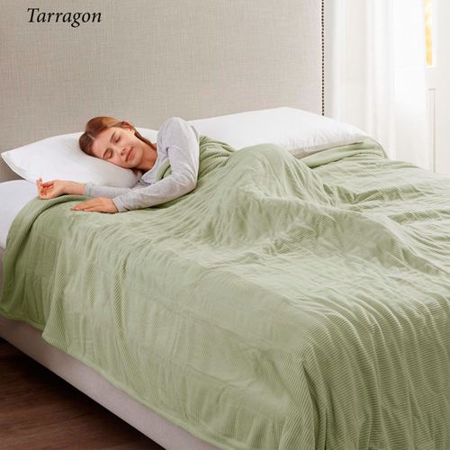 V331-001_5.jpg Thumbnail Image